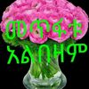 user8731214120169
