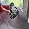 smiw8e