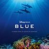 bluelement08