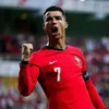 elmazoiry
