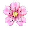 zyn_z05