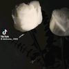 malak54723