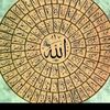 user8877628699552