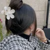 575467lolo