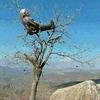 ahmed.belehguer