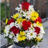 fatma.zdemir491