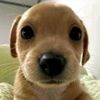 mikitoo_o4