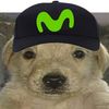 leo999coo6