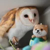 こむぎパパん🧋🦉🐀🐥🐦‍⬛🧋