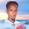 boriif27