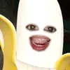 seludo0