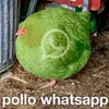 user6999454630595