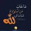 user327745767485