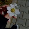 aynerennursahedow