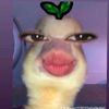 user113831541486290