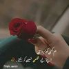 گمنام سیدہ
