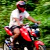 adnan_jomidar