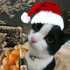 user16025191701711
