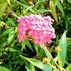 nothing_12921