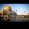 mohamed.mohad55