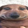 therealtimothy83647373