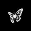 hey_aali1
