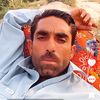 mazharaligorchani7
