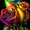 user322373700627