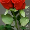 user9048548143773