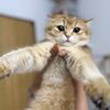 gatsbyyy_4