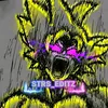 strs_editz