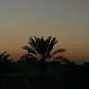 ka_aop