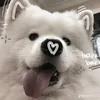 zinday9