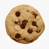 chocochipcookie_muncher