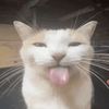 sunny_zwz