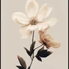 surayafuraha