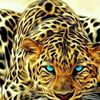 bangash_yar313