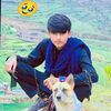 user032477481