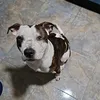 bimbafollonnn