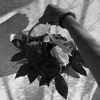 digora0707