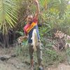 firdaus29032