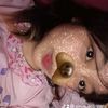 aleyaaaa122