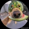 adryel_tudo.fraco
