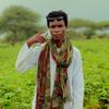 ahmed.bashir603