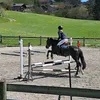 nalle.leysin.2024