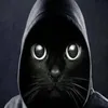 user2560823184263