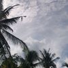 pamula_affiliate002
