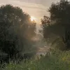 _1nobody1_
