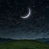 haithamyasser16