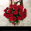 usera.m.j8320466